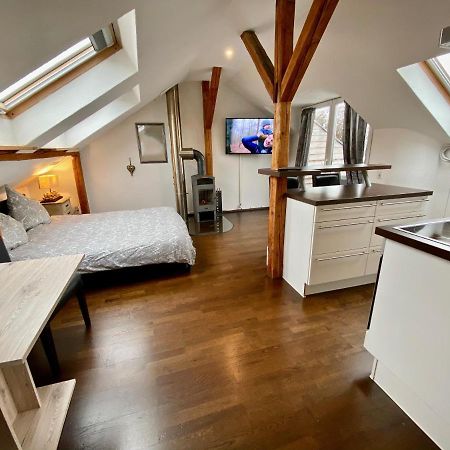 Wohnen Ueber Den Daechern Von Ravensburg, Stadtnah, Kamin, Klima Apartment Bagian luar foto